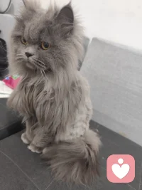 🌿今日在线
不慌不忙，稳稳接住你的所有情绪。
生活再难，也别把自己逼太紧。
累了就歇歇，痛了就说说，
你不必一直坚强，也可以偶尔脆弱。
我在这里，安静倾听，温柔陪伴，
陪你把心里的委屈慢慢抚平，
把日子一点点过顺、过暖。🌿
 
#心理倾听 #情绪疏导 #今日在线