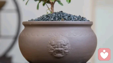 爱恨情仇一瞬间