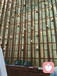 看见看得见的世界
看见看不见的世界配图