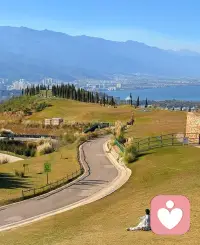 沟通不是赛跑，而是共舞。输赢不如共鸣，倾听比说服更有力量