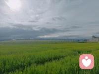 走走路，吹吹风，让烦恼跟着脚步走远。配图