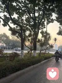 人总要片刻的疯狂 来爱上这日复一日的生活..配图