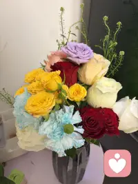 买了花花心情美美哒配图