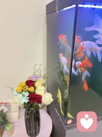 买了花花心情美美哒配图