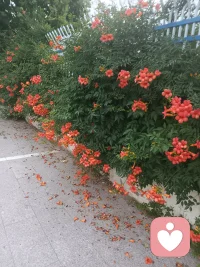 安静等你