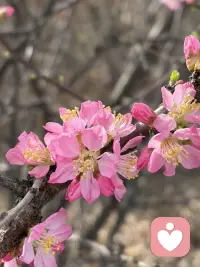 少些执念，多些释怀，接纳生活的刚刚好，便是最好的状态。配图