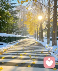 如果事与愿违，就相信上帝另有安排，顺其自然，不说遗憾，遵从内心，做好自己！配图