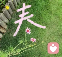 你想要的生活问问自己的内心，喜欢什么大胆的开始，日拱一卒，功不唐捐，戒掉焦躁，专注专心，每天的做好当下的事情，不疾不徐，你想要的终会出现在你的世界里！配图