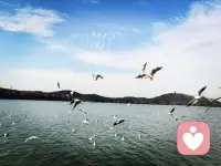 以前婚姻像根橡皮筋，绑住两个人过日子，松紧都忍着。现在更像一个房间，大家都需要呼吸感。当关系里只剩下责任、消耗、和窒息的沉默，离开就成了对自己的解脱！配图