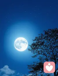 白天，我是一面镜子、一个容器、一座桥梁。我稳稳地接住过眼泪，托住过崩溃，翻译过愤怒背后的恐惧。现在，我把这些重量，轻轻地归还给夜晚。我不是清空，而是让它们从“我的承载”，缓缓流回“世界的存在”。配图