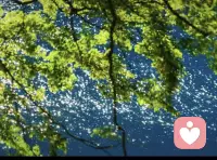 风掠过湖面，心中涌起千言，愿阳光洒满人间，来到你心里，照亮人间每一个角落！配图