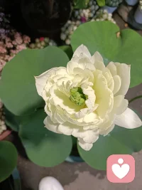 成熟的第一步，就是破幻见真，直面自己最真实的现状，你才能从那种矫情的情绪当中走出来，去强大自己，完善自己配图