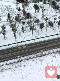 一见钟情只不过是见色起意，日久生情不过是权衡利弊。爱情这东西，始于颜值，陷于才华，忠于肉体，迷于声音，最后折于物质。配图