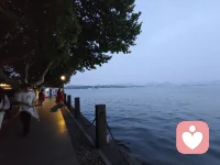 喜欢独处的人，要么是绝对强者，要么是懦夫配图