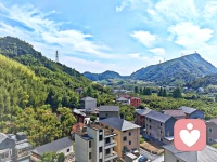 明心见性
破迷开悟
离苦得乐
早证菩提配图