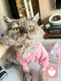 疗愈自己的一直都是自己，别人只是帮你践行配图