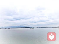 莫问晚风何处去，此时随风意正浓配图