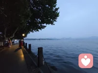 用心抚平你的伤痕配图