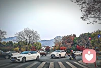 用心体会你得所在，花自盛开，亦自凋谢，随缘就好配图