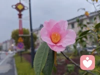 如你所愿，我为你创造了快乐配图