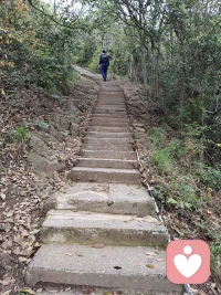 每个人都是孤勇者配图