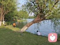 你看到的是什么，回答我