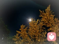 给自己一束光，只把自己点亮配图