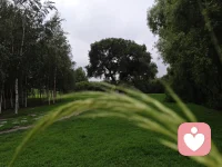 你看见了什么配图
