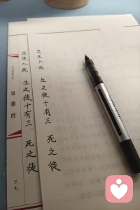 笔墨有收，亦有放。
收敛不是怯懦，柔中自有筋骨；外放是天性舒展。
人到中年，慢慢习得向内收住心神，守住边界。
每个阶段，都有独属于自己的笔墨心性。