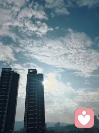 以最大的平静 ，去爱我们不确定的生活。配图