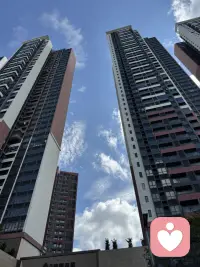 本就不由己，
何必执着，
可留可去，
可视而不见。配图