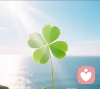 抗拒自己的经历，就是阻碍自己的发展，否定自己的经历，就是让自己的人生说谎。 所有经历都有益于我…💪