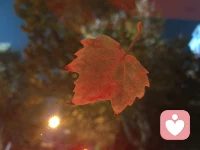 如果你的心事无人诉说，那就来找我吧！配图