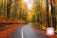 生活不必太用力，温柔一点对待自己。
焦虑是因为想得太多，做得太少。
先放过自己，世界才会对你温柔。