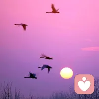 人生不必事事圆满，情绪不必时时稳定。放过自己，放平心态，一切皆有归途。