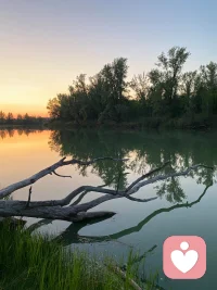 朝夕相伴多年，却时常觉得内心孤单。婚姻里缺少贴心体谅，细碎的心事无从诉说。不用时刻逼自己故作从容，允许情绪自然流露，静下心和疲惫的自己好好相处。