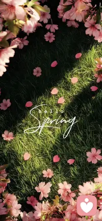 真正的治愈，从来不是别人的安慰，而是你终于愿意接纳自己，与不完美和解，与过往握手言和。配图