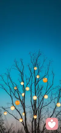 不必急于求成，每个人都有自己的时区，有人早一点发光，有人晚一点绽放，按自己的节奏生长就好。配图