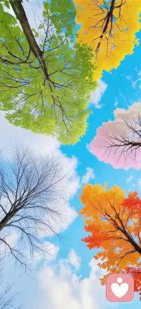 耐心倾听，深度共情，
不只做言语上的疏导，
更希望产生心灵上的共鸣！配图