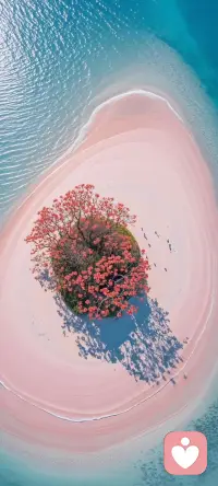 你值得被温柔对待，首先要从自己开始，停止自我攻击，多一点包容，多一点鼓励，多一点爱。配图