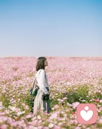 无论此刻你正经历什么，请一定相信，一切都会慢慢好起来，你值得拥有更安稳、更明亮、更幸福的未来。配图