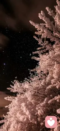感情里最忌讳的是：你在规划未来，他在权衡利弊。真心爱你的人，会和你一起搭伙过日子，而不是和你算计过日子。爱你的人，生怕给你的不够；不爱你的人，就怕你要的太多。配图