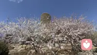 爱自己，是终身浪漫的开始，也是心理健康的底色。配图