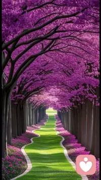 人生本就是一场体验，得失都是常态，聚散皆是缘分。不必纠结过往，不必焦虑未来，活在当下，认真感受，就是对生命最好的回馈。