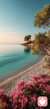 很多时候，我们需要的不是别人的安慰，而是给自己一点时间和耐心。伤口会结痂，阴霾会散去，只要你不放弃自己，就没有什么能真正打倒你。