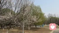 人生本就是一场不断失去、不断得到的旅程，不必为一时的得失耿耿于怀。放宽心态，看淡聚散，接受无常，心宽了，路自然就顺了。配图