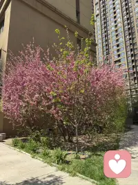 别人的评价只是参考，不必成为你自我怀疑的理由。你不需要向所有人证明自己，更不需要活在别人的期待里，清醒自知、稳步前行，就是最好的生活态度。配图