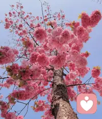 永远不要为了迎合别人而改变自己的本心，你的人生剧本由自己书写，不必活在他人的眼光里，保持独立清醒，才不会被世俗消耗。配图