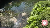 你不用逼着自己懂事、讨好、面面俱到，不用靠别人的认可证明自己很好。慢慢把注意力收回到自己身上，照顾好情绪，比什么都重要。配图