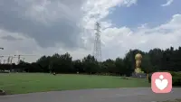 我懂你总想着迁就别人、顾及他人的感受，可久而久之只会让自己疲惫。试着把目光收回到自己身上，先照顾好自己的心，才有余力拥抱生活。配图